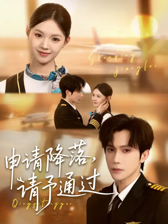 申请降落请予通过封面图