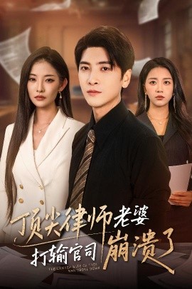 顶尖律师老婆打输官司崩溃了 爱至深处不回头封面图