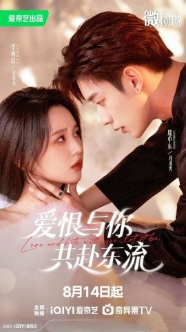 爱恨与你共赴东流封面图