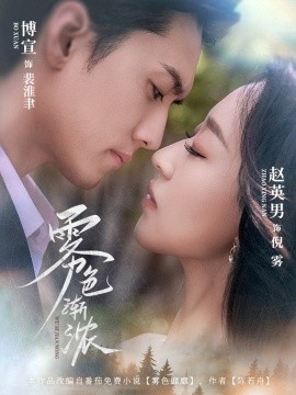 雾色渐浓封面图