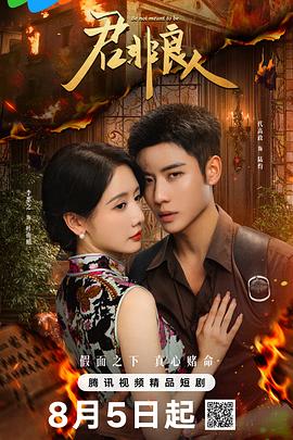 君非良人封面图