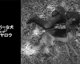 奥莉佛是狗，（天哪！！）这家伙 续篇封面图