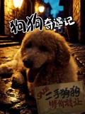 狗狗奇遇记封面图