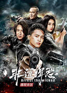 非道缉恶封面图