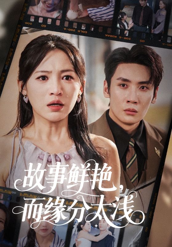 故事鲜艳而缘分太浅封面图