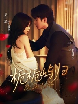 栀栀屿归封面图