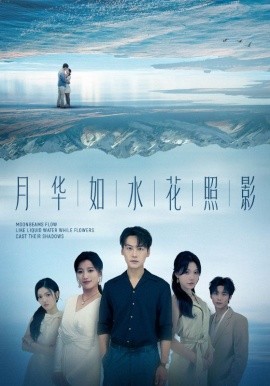 月华如水花照影封面图