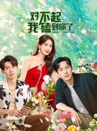 对不起我磕到你了封面图