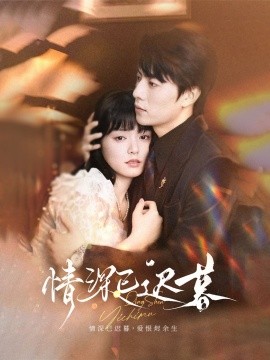 情深已迟暮封面图