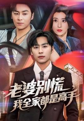 老婆别慌，我全家都是高手封面图