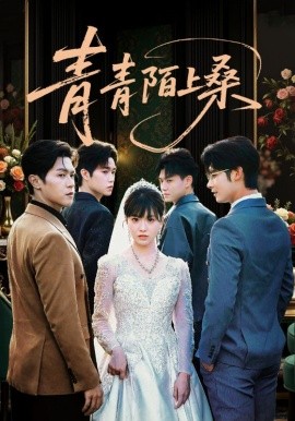 青青陌上桑封面图