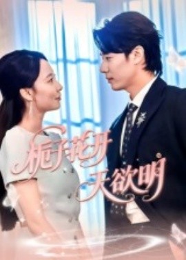 栀子花开天欲明封面图