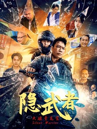 隐武者：大破青龙会封面图