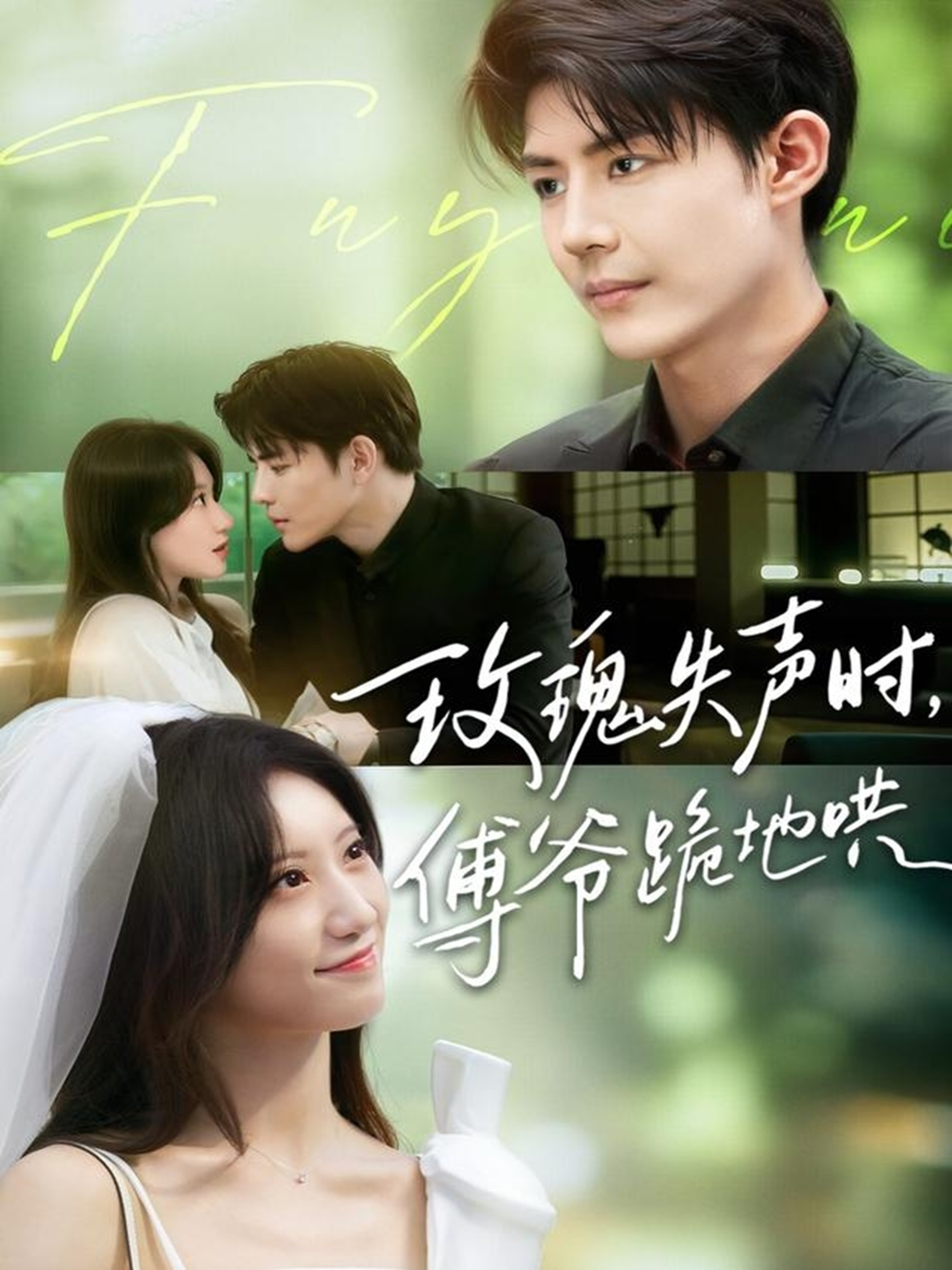 玫瑰失声时傅爷跪地哄封面图