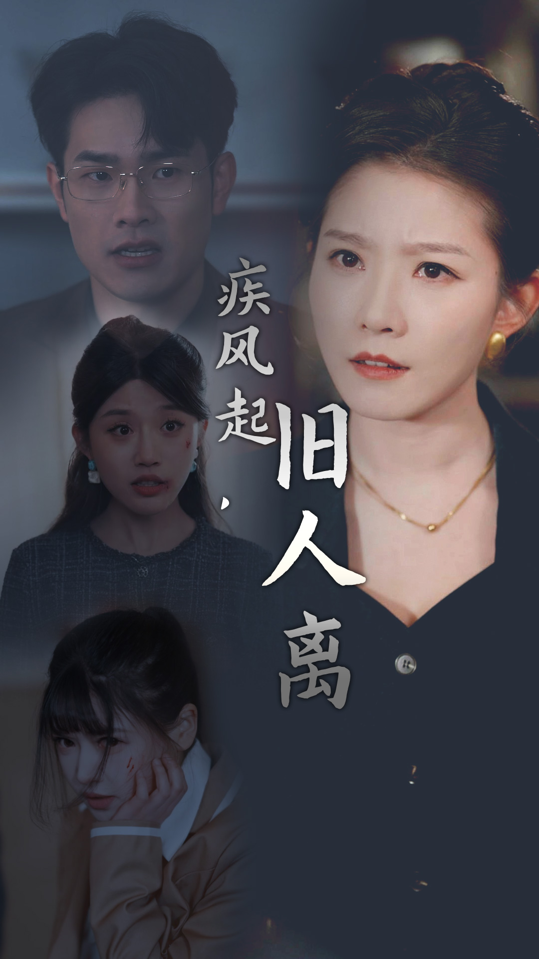 疾风起旧人离封面图