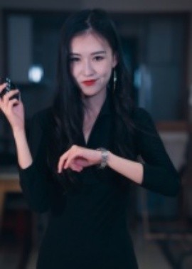 制裁者的游戏封面图