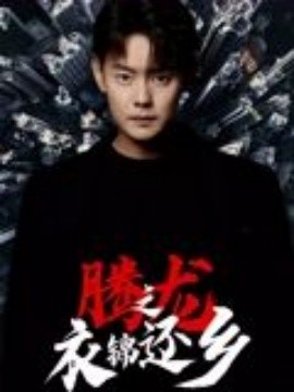 腾龙之衣锦还乡封面图