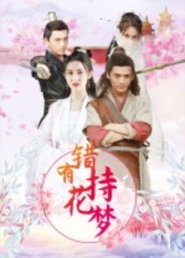 错有持花梦封面图