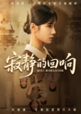 寂静的回响封面图