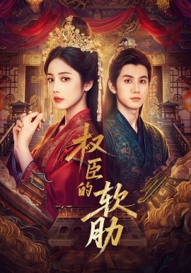 权臣的软肋封面图