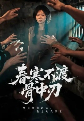 春寒不渡骨中刃封面图