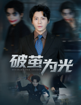 破茧为光封面图