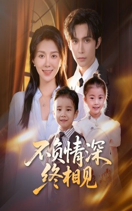 不负情深终相见封面图