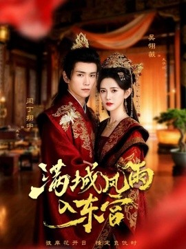 满城风雨入东宫封面图