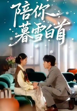 陪你暮雪白首封面图