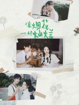 像烟花一样灿烂封面图