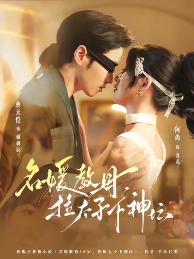 名媛教母，拉太子下神探封面图