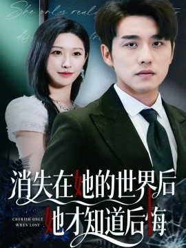 消失在她的世界后她才知道后悔封面图