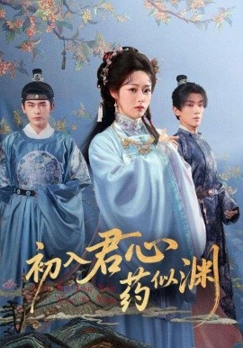 初入君心药似渊封面图