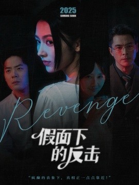 假面下的反击 她的伪装战书封面图