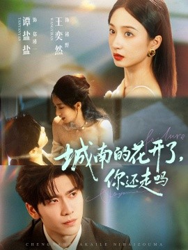 城南的花开了，你还走吗封面图