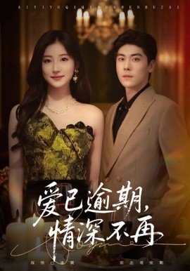 爱已逾期，情深不再封面图