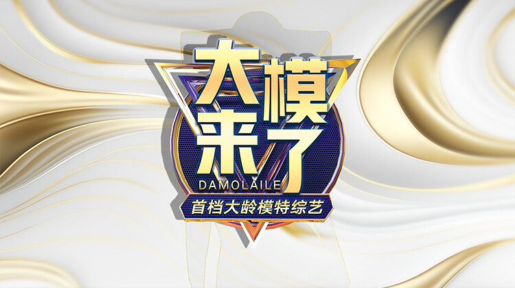 大模来了封面图