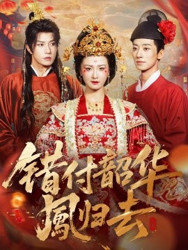 错付韶华凤归去 凤起青萍末封面图