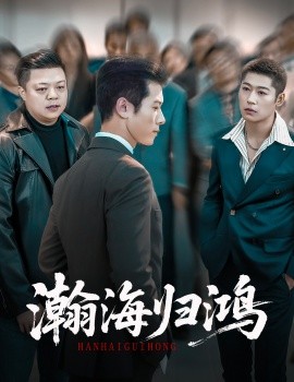 瀚海归鸿封面图