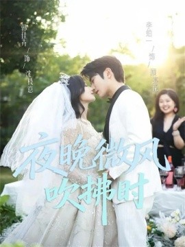 夜晚微风吹拂时封面图