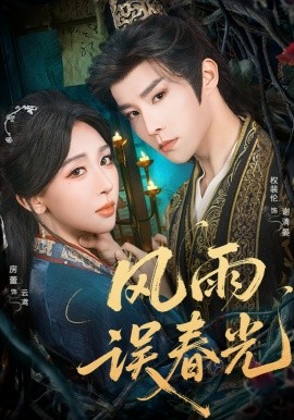 风雨误春光 七年寒鸢封面图