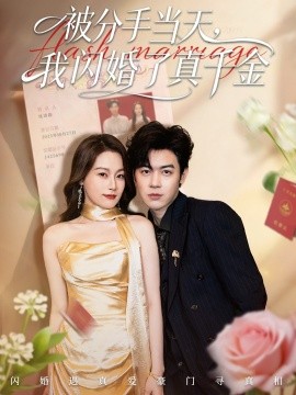 被分手当天，我闪婚了真千金 刚分手被美女姐姐拉去领证封面图