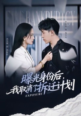 曝光身份后，我取消了拆迁计划封面图