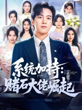 系统加持：赌石大佬崛起 少年赌神：从原石到顶流封面图