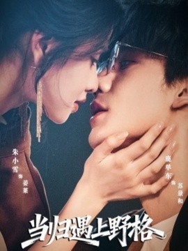 当归遇上野格封面图