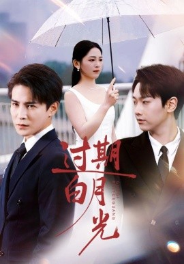 过期白月光封面图