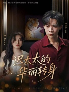 迟太太的华丽转身封面图