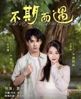 不期而遇封面图