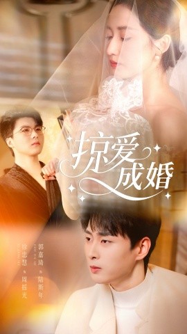 掠爱成婚封面图