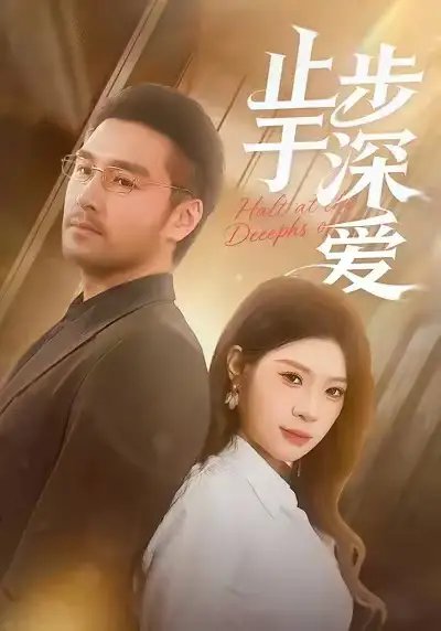 止步于深爱封面图
